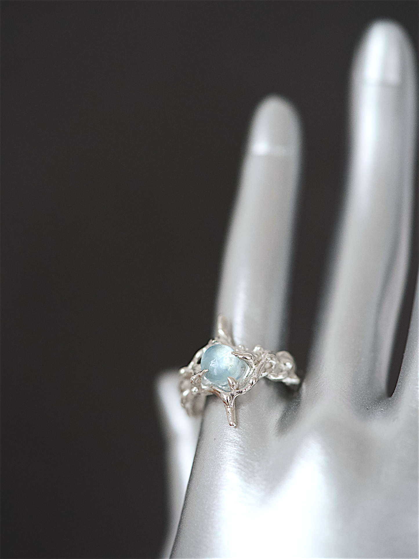Polaris Ring