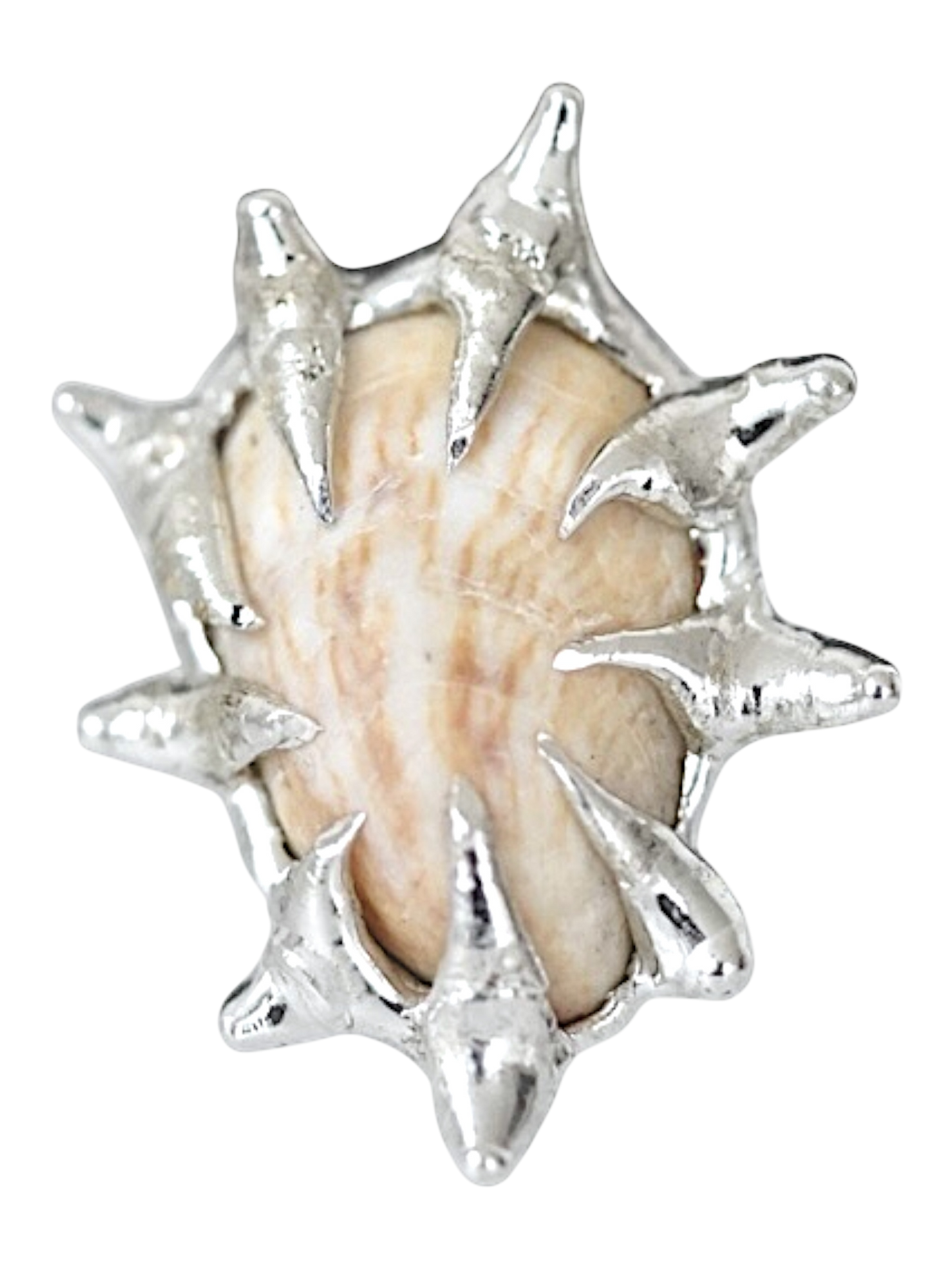 Tan Caged Shell Ring