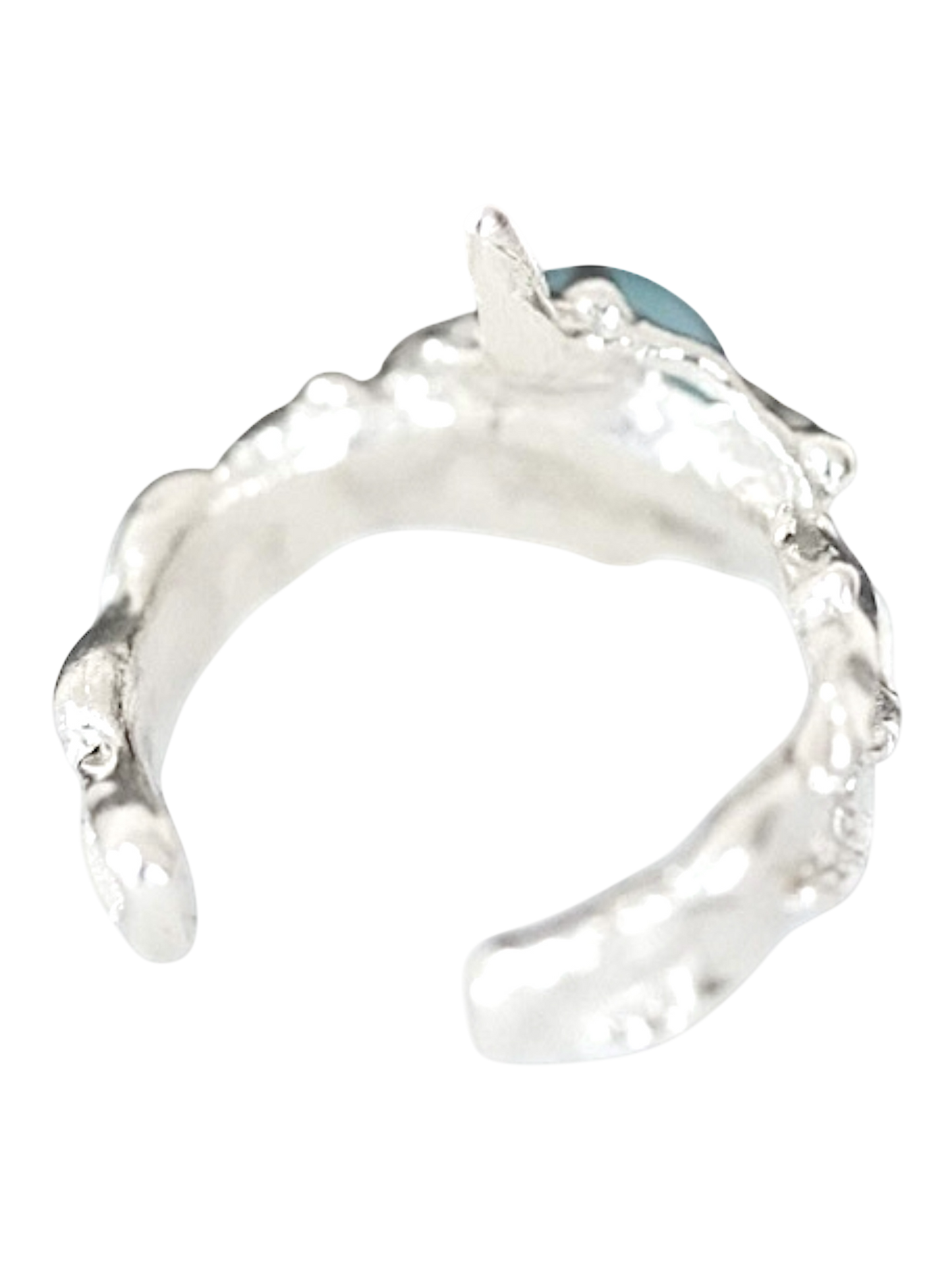 Polaris Ring