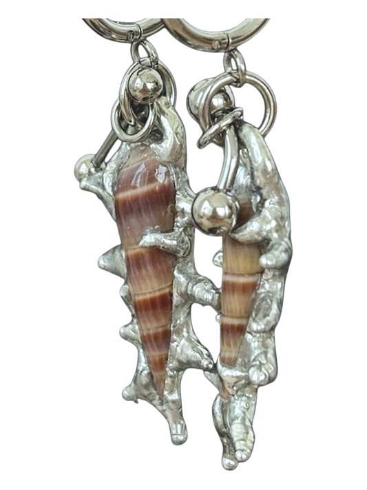 Piercing and Seashell Earrings