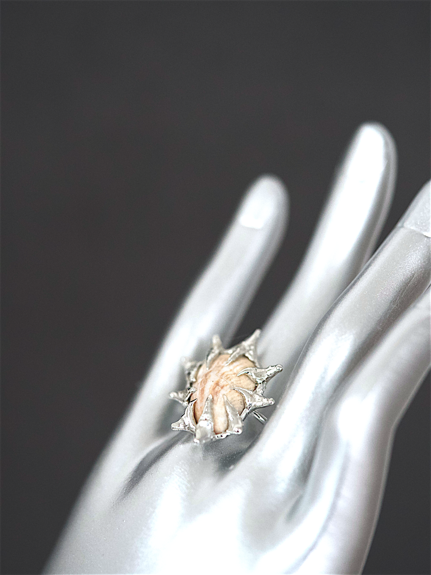 Tan Caged Shell Ring