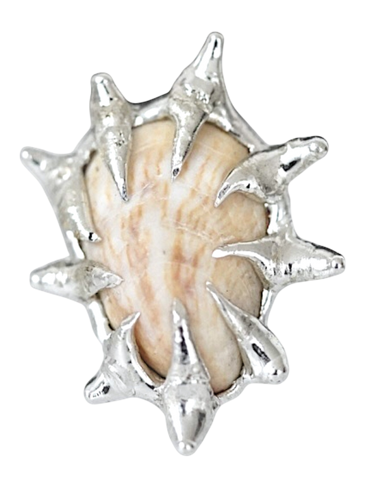 Tan Caged Shell Ring