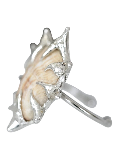 Tan Caged Shell Ring