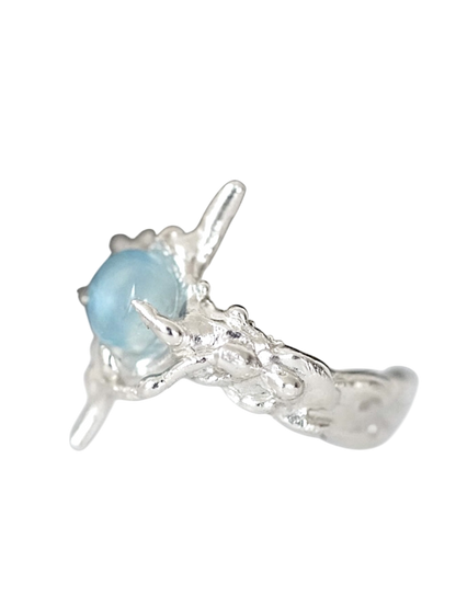 Polaris Ring