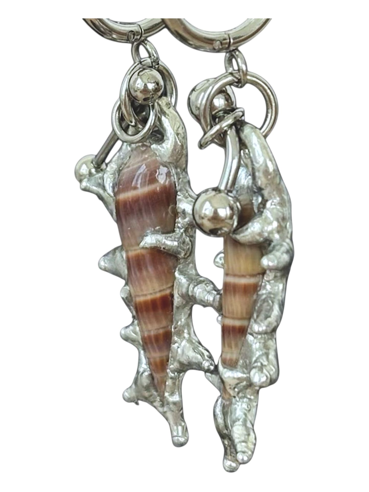 Piercing and Seashell Earrings