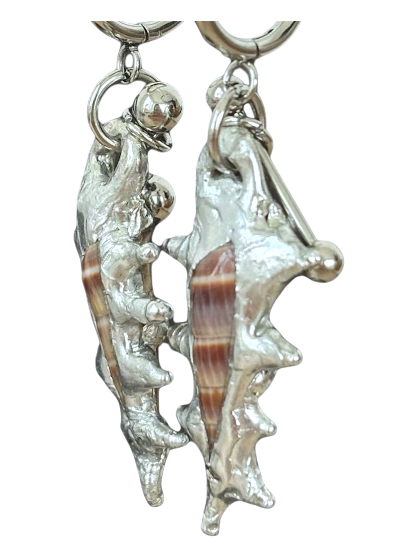 Piercing and Seashell Earrings