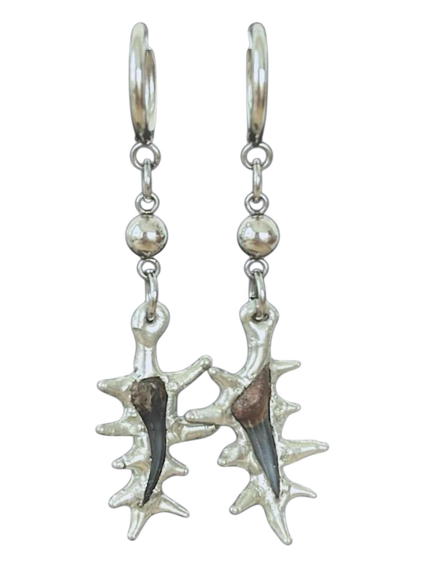 Fossilized Shark Tooth Earrings