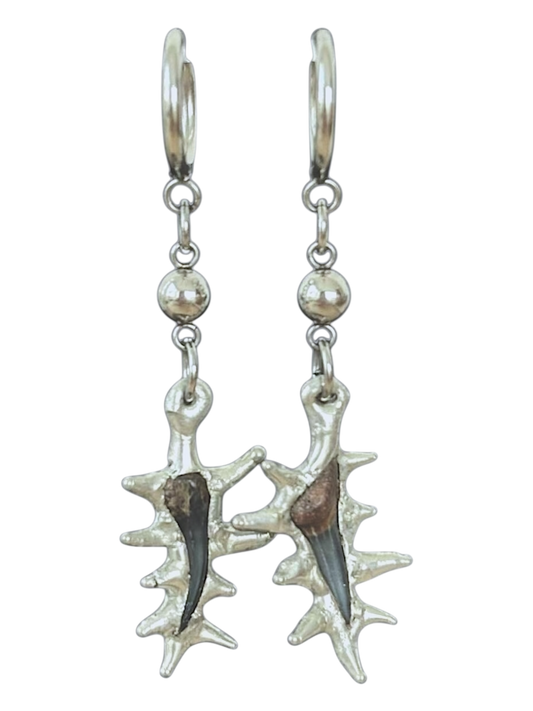Fossilized Shark Tooth Earrings