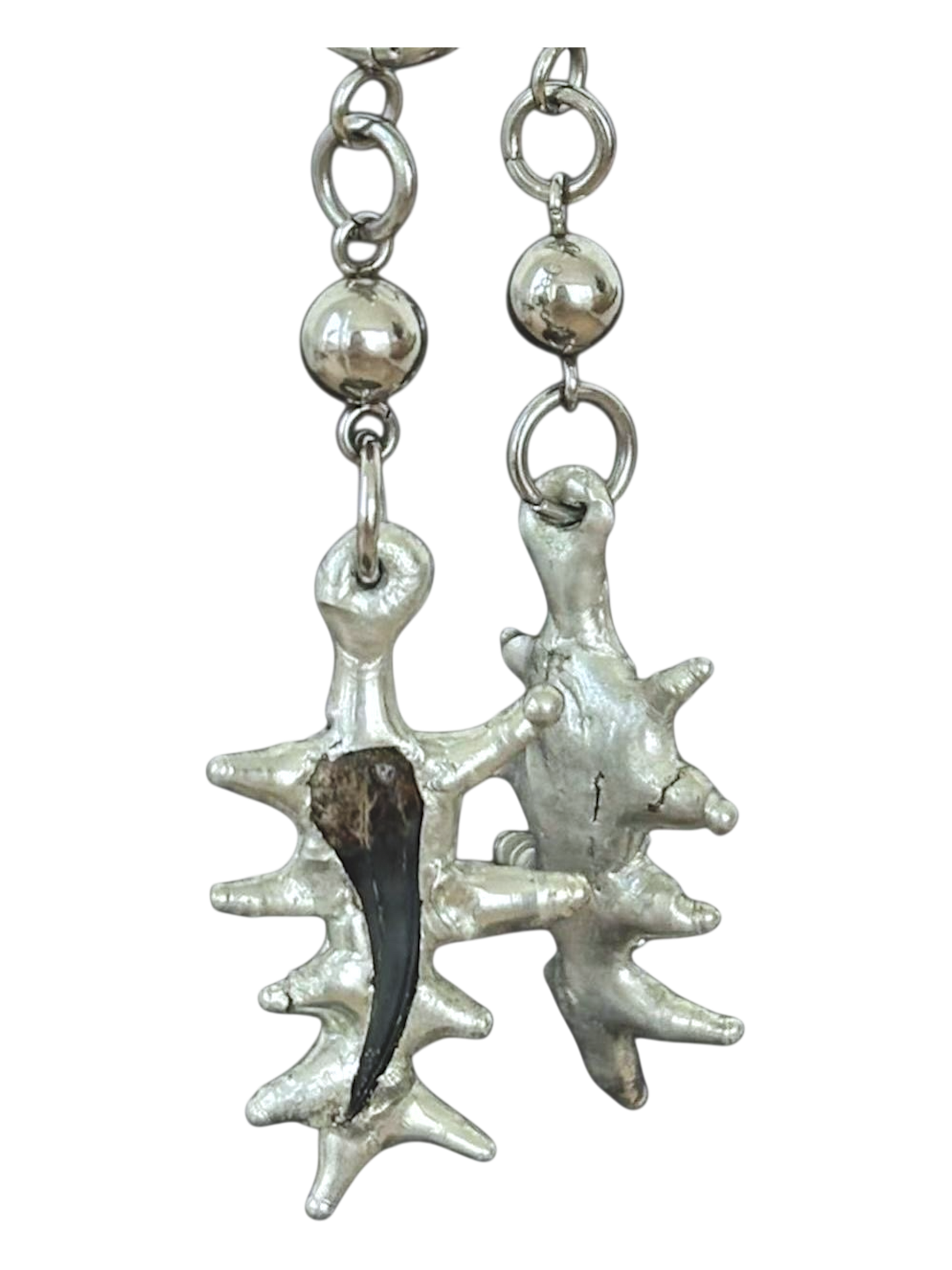 Fossilized Shark Tooth Earrings
