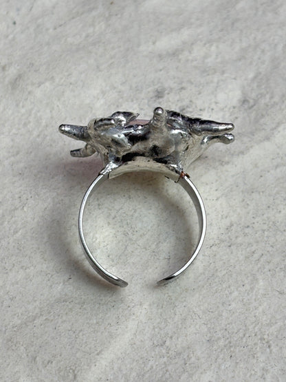 Canopus Ring