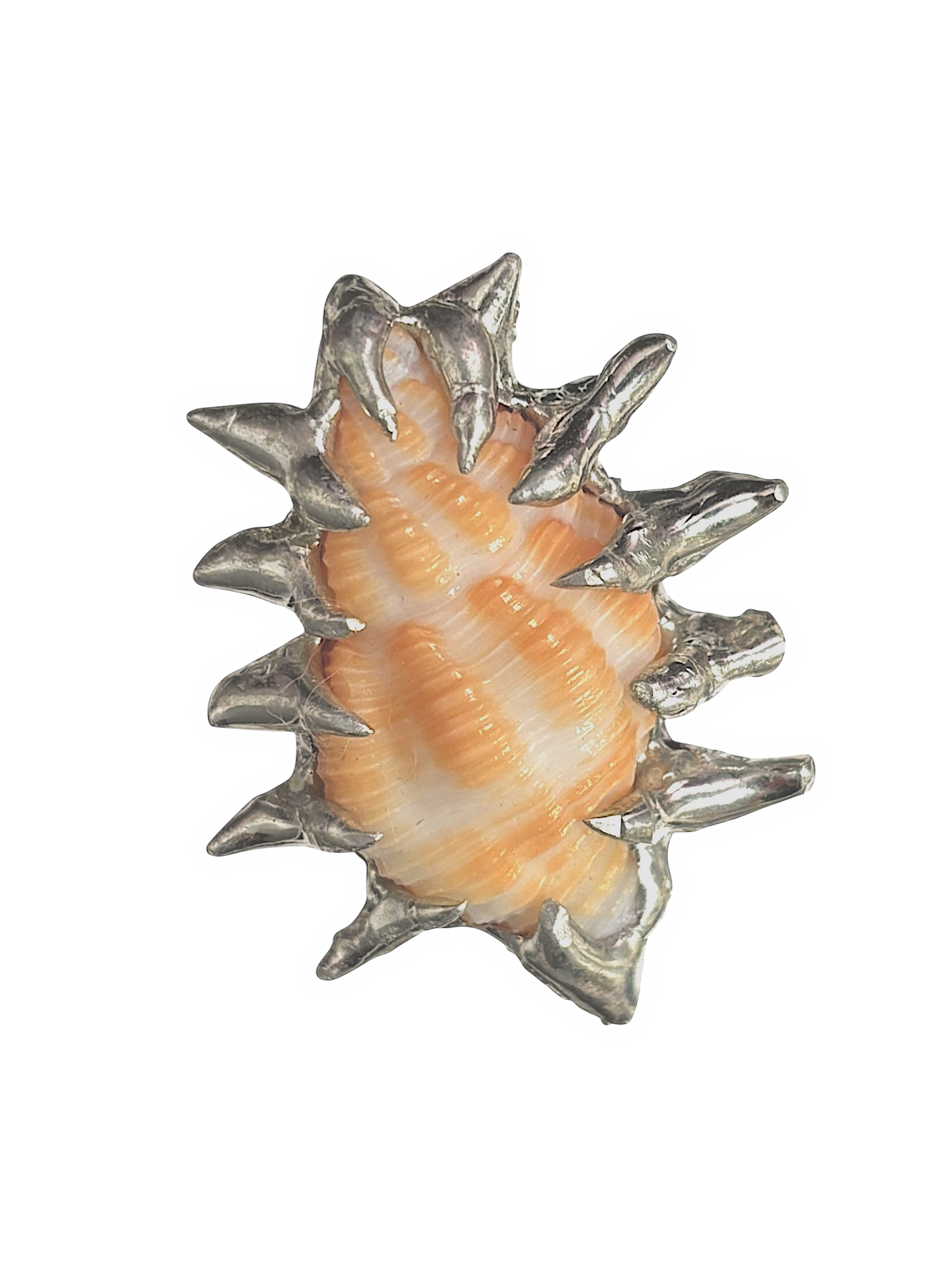 Spiky Seashell RIng