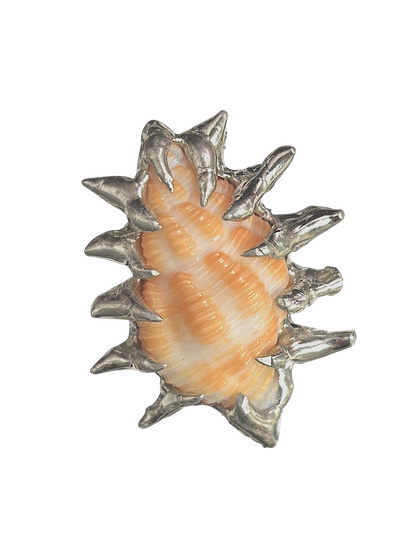 Spiky Seashell RIng