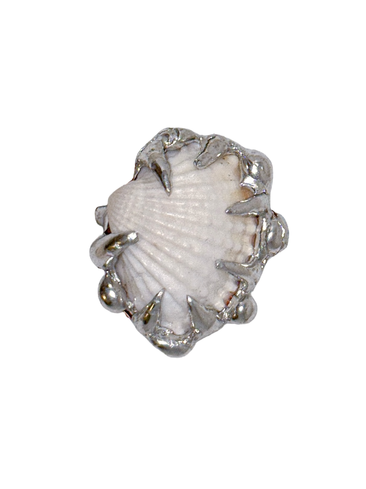 Cockle Shell Ring