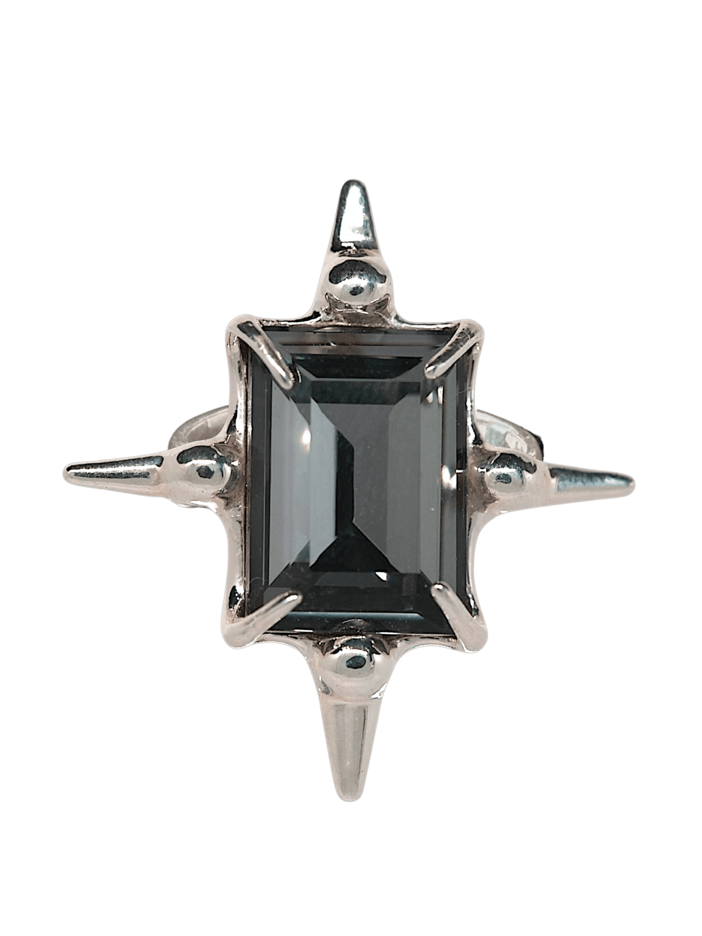 “Astroid Ring in S925 sterling silver, engraved with RABIES DOG and designed as an adjustable open band.”