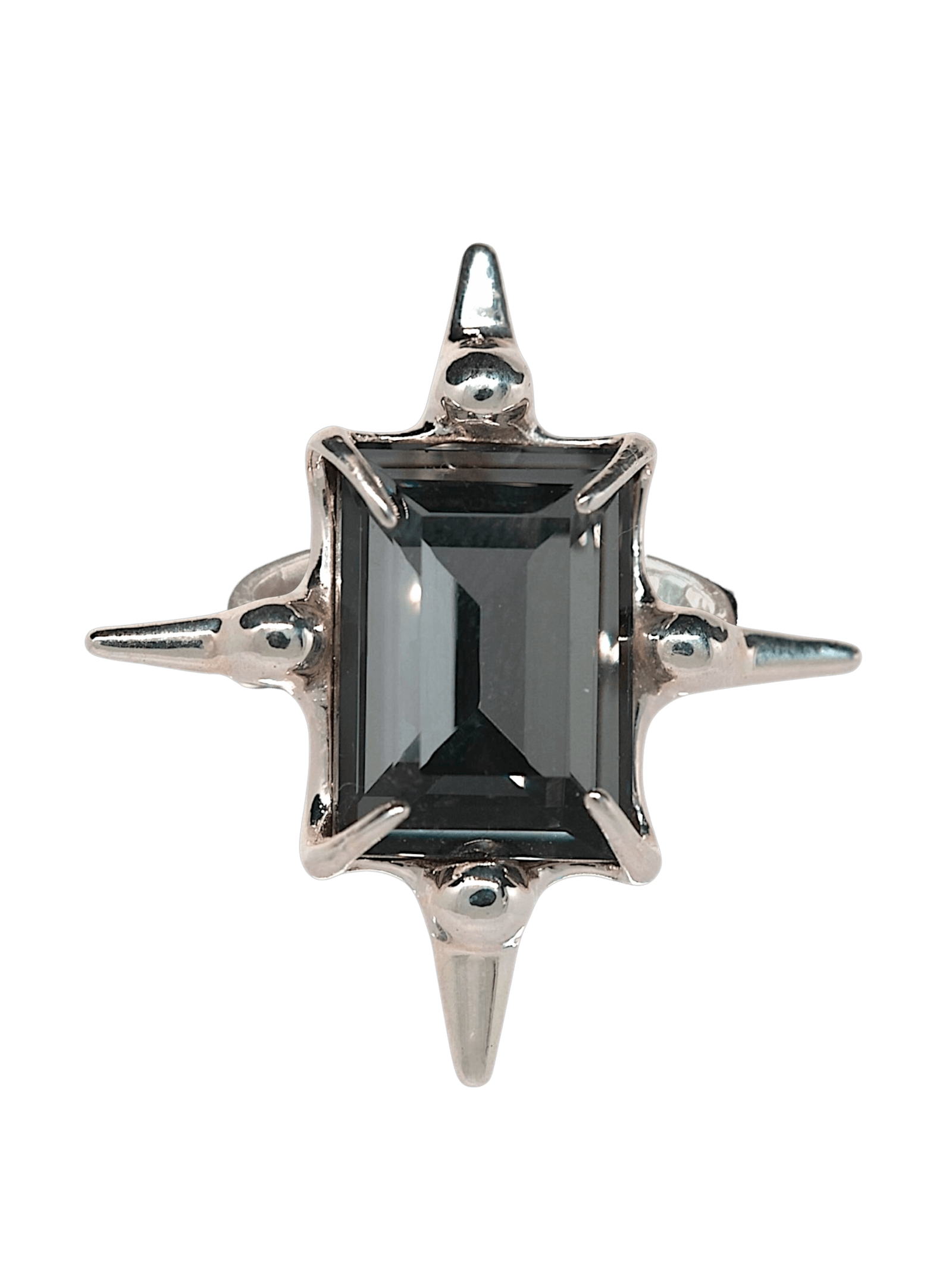 “Astroid Ring in S925 sterling silver, engraved with RABIES DOG and designed as an adjustable open band.”