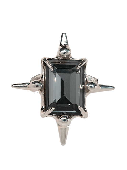 “Astroid Ring in S925 sterling silver, engraved with RABIES DOG and designed as an adjustable open band.”