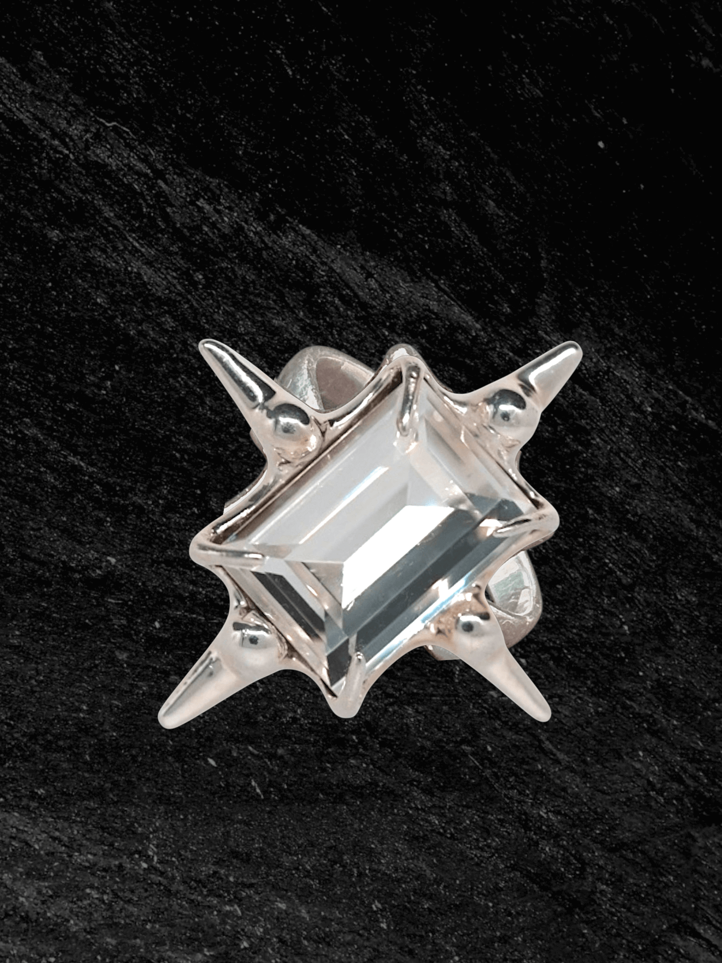 “Astroid Ring in S925 sterling silver, engraved with RABIES DOG and designed as an adjustable open band.”