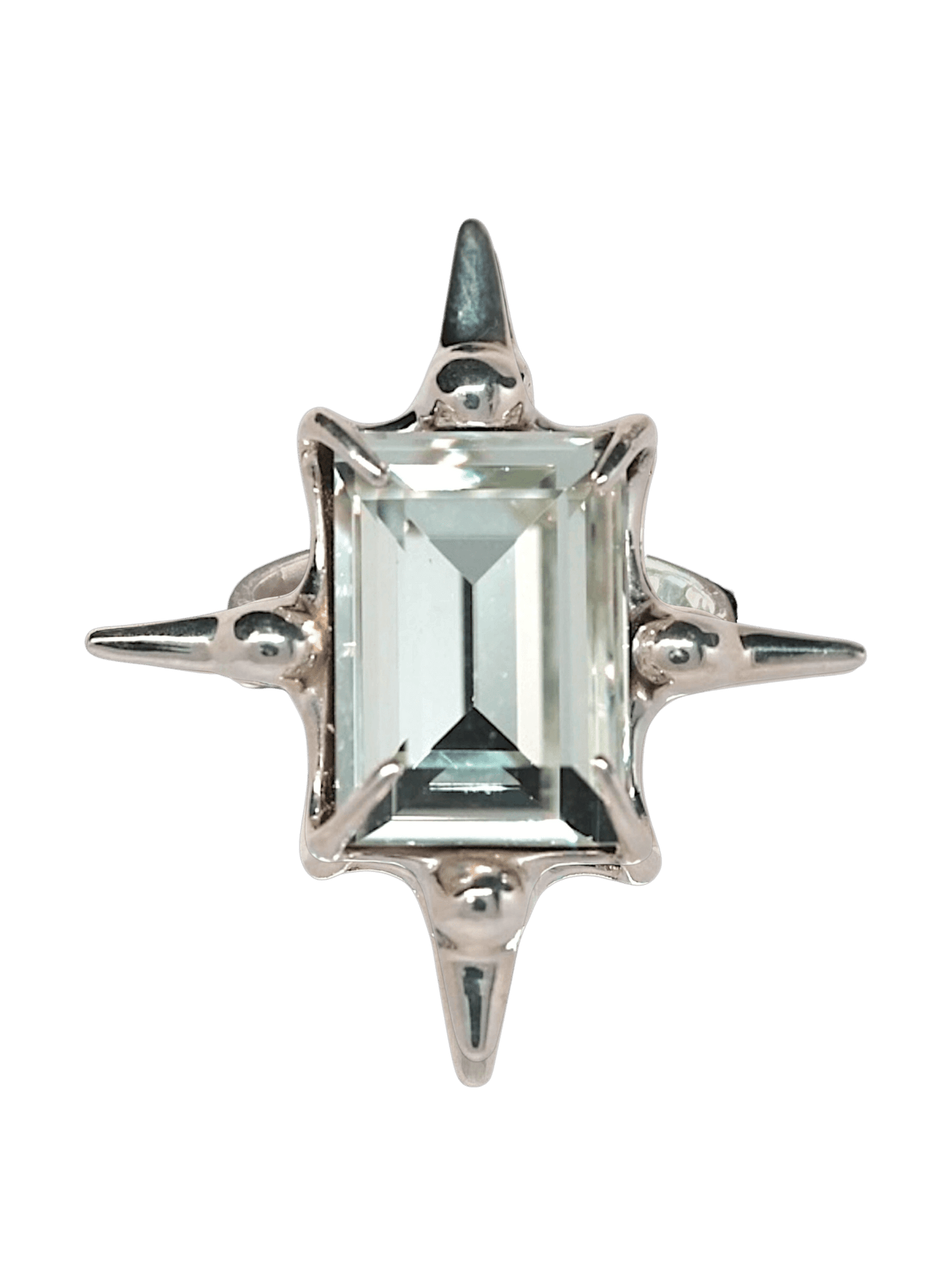 “Astroid Ring in S925 sterling silver, engraved with RABIES DOG and designed as an adjustable open band.”