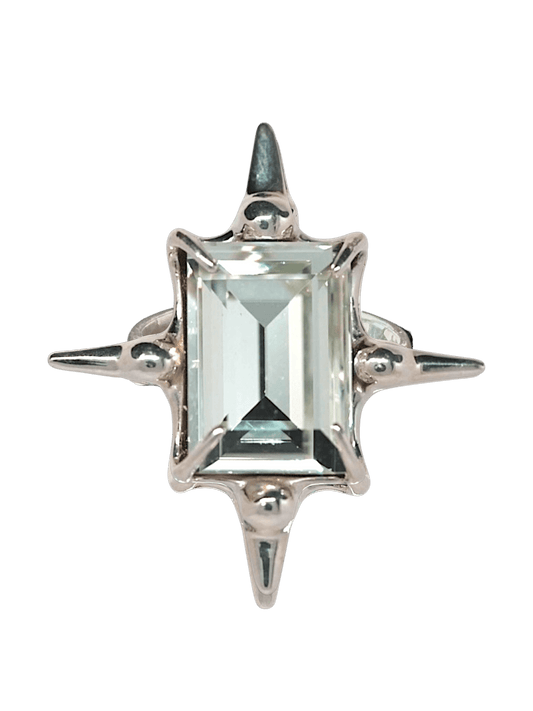 “Astroid Ring in S925 sterling silver, engraved with RABIES DOG and designed as an adjustable open band.”