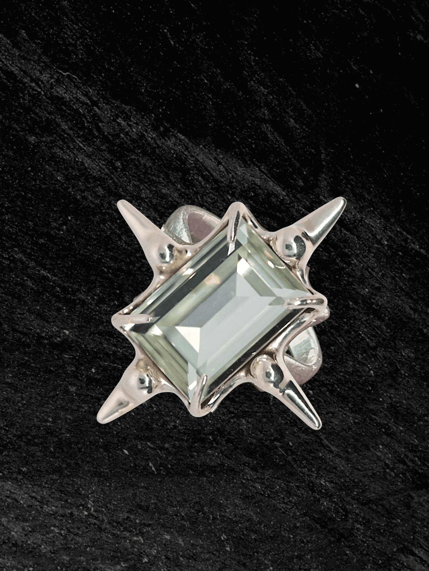 “Astroid Ring in S925 sterling silver, engraved with RABIES DOG and designed as an adjustable open band.”