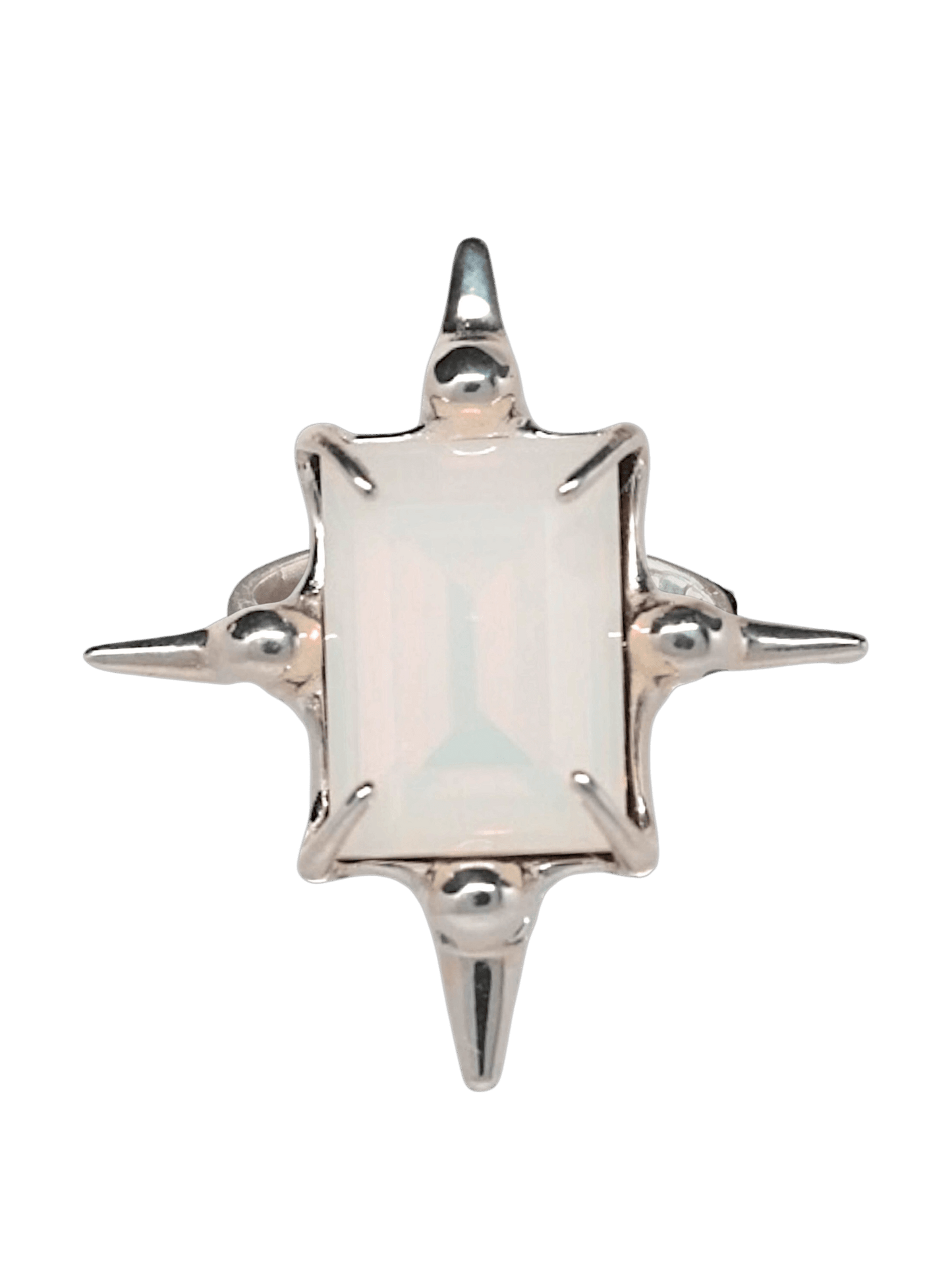 “Astroid Ring in S925 sterling silver, engraved with RABIES DOG and designed as an adjustable open band.”